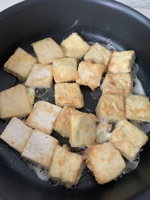 Pan Fry Tofu (6)