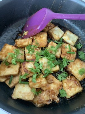 Pan Fry Tofu (8)